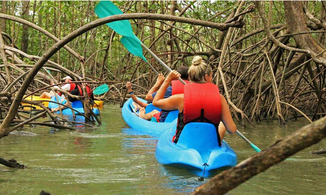 Zanzibar Kayaking Adventures